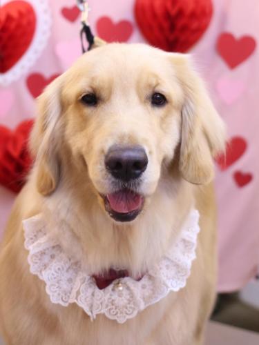 20240209ありすちゃん